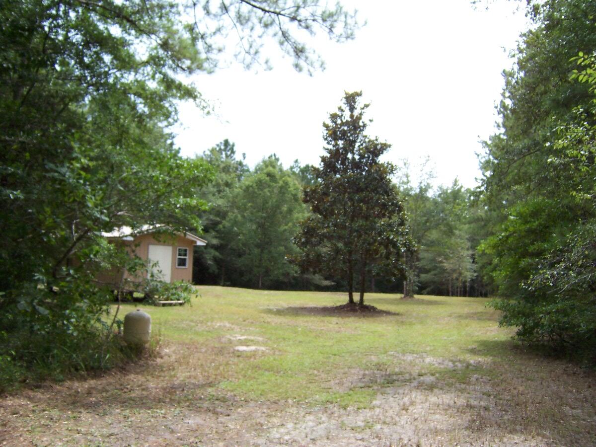 304 Batson Road Ponce de Leon, FL 32455 - Photo 12 of 41 100_7634