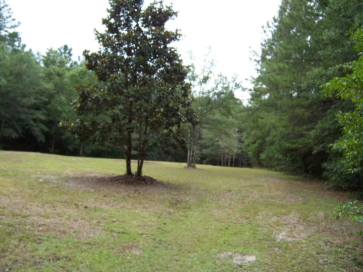 304 Batson Road Ponce de Leon, FL 32455 - Photo 16 of 41 100_7639
