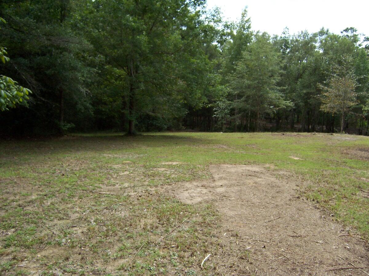 304 Batson Road Ponce de Leon, FL 32455 - Photo 21 of 41 100_7646