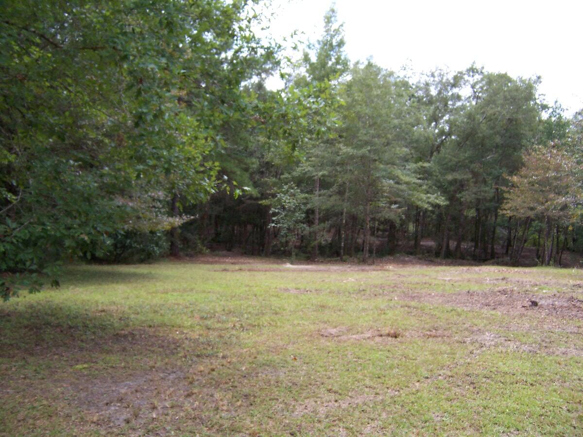 304 Batson Road Ponce de Leon, FL 32455 - Photo 22 of 41 100_7647