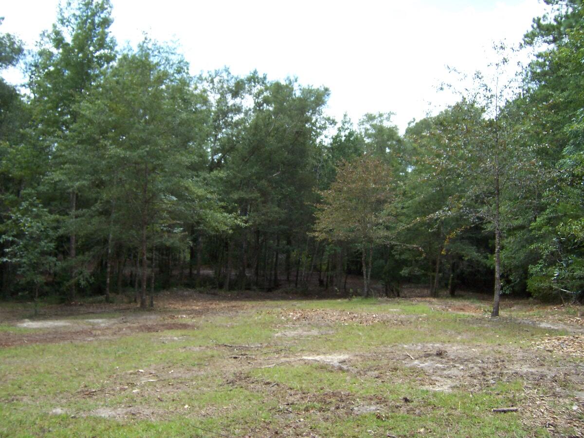 304 Batson Road Ponce de Leon, FL 32455 - Photo 23 of 41 100_7648