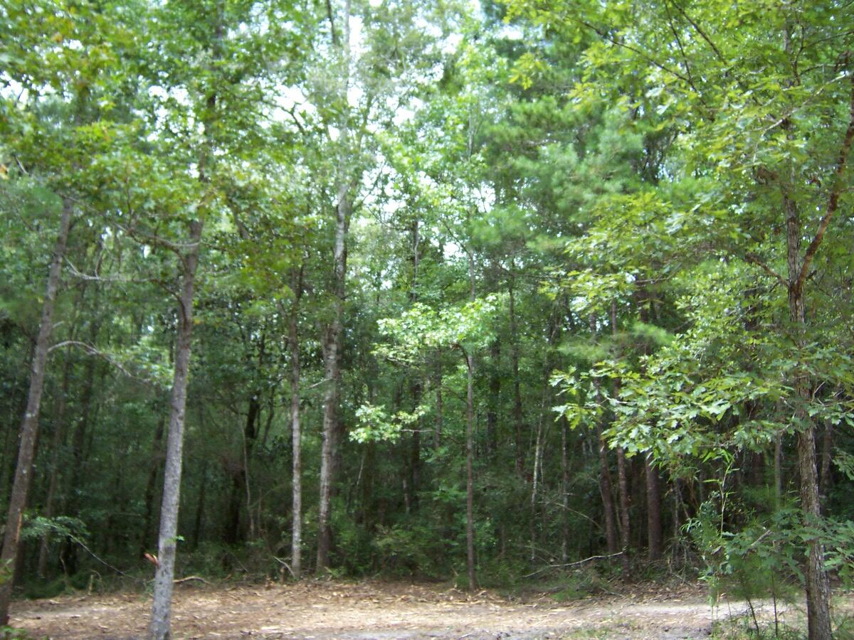 304 Batson Road Ponce de Leon, FL 32455 - Photo 25 of 41 100_7650