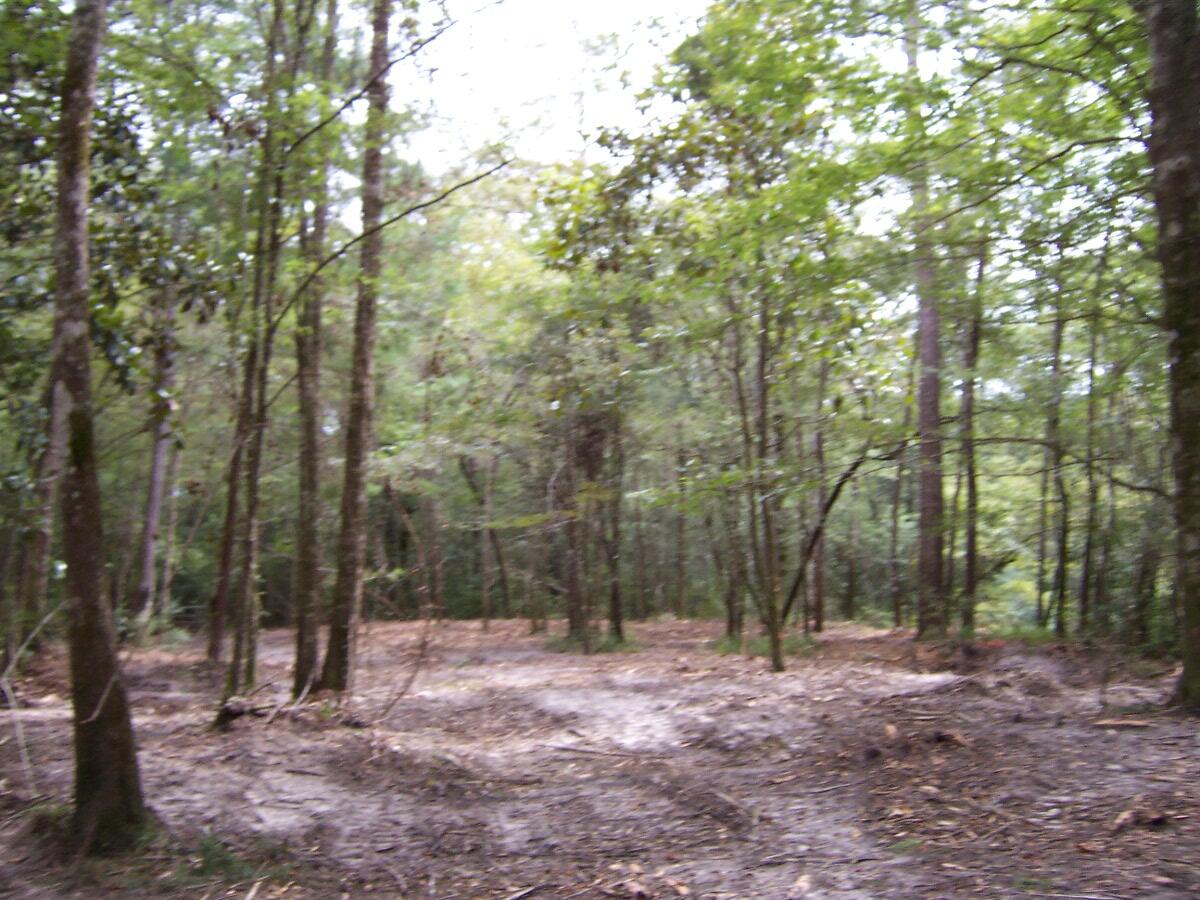 304 Batson Road Ponce de Leon, FL 32455 - Photo 26 of 41 100_7651