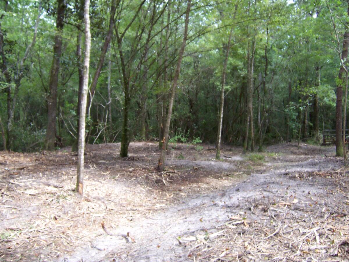 304 Batson Road Ponce de Leon, FL 32455 - Photo 27 of 41 100_7652
