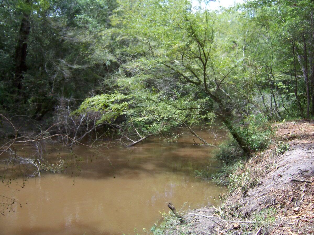 304 Batson Road Ponce de Leon, FL 32455 - Photo 29 of 41 100_7655