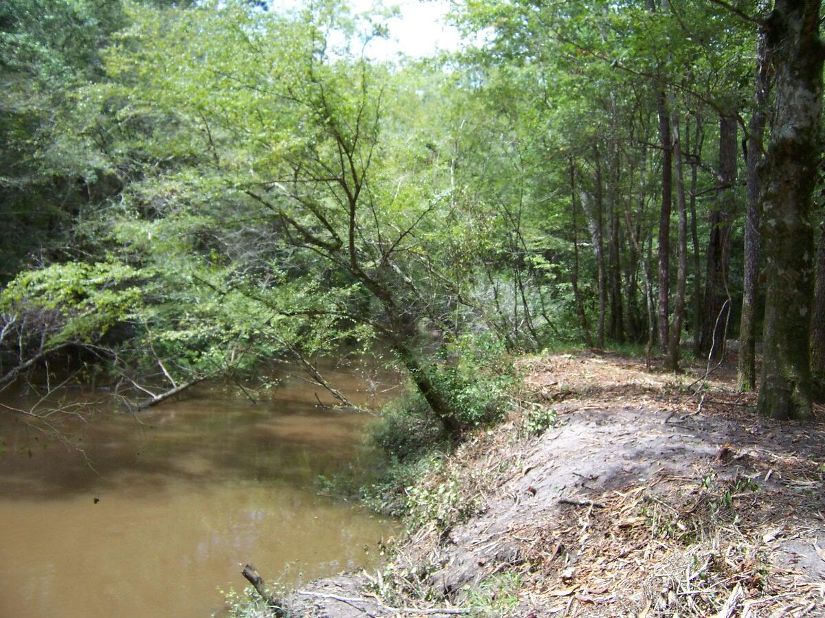 304 Batson Road Ponce de Leon, FL 32455 - Photo 30 of 41 100_7656