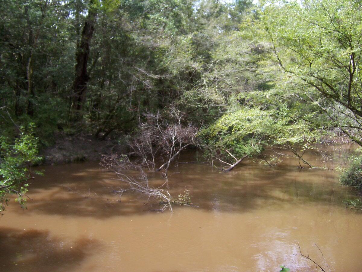 304 Batson Road Ponce de Leon, FL 32455 - Photo 31 of 41 100_7657