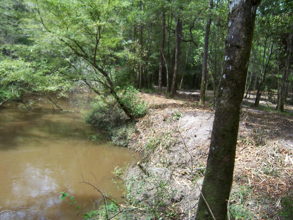 304 Batson Road Ponce de Leon, FL 32455 - Photo 32 of 41 100_7658