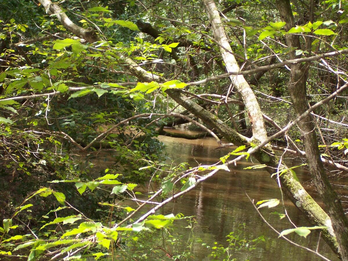 304 Batson Road Ponce de Leon, FL 32455 - Photo 34 of 41 100_7660
