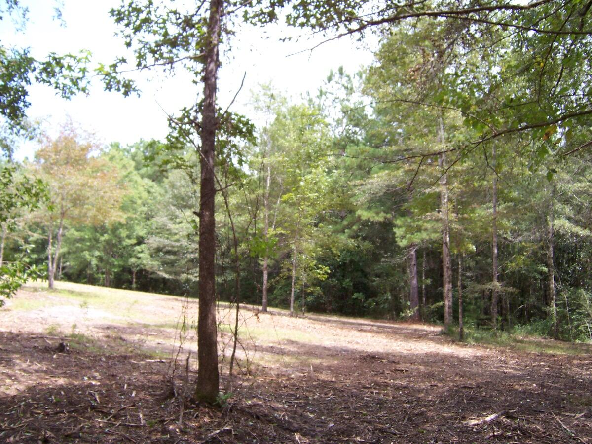 304 Batson Road Ponce de Leon, FL 32455 - Photo 35 of 41 100_7661