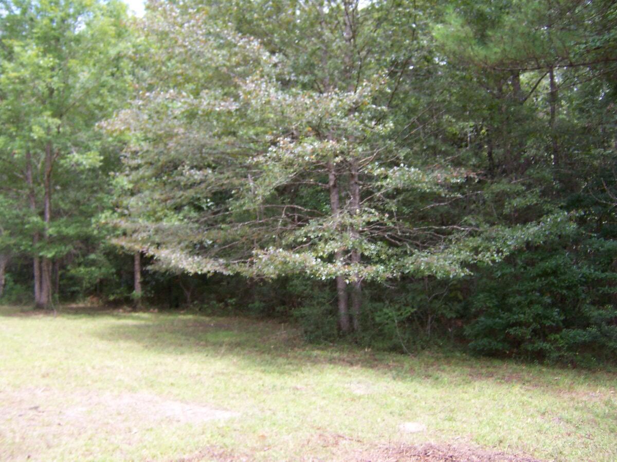 304 Batson Road Ponce de Leon, FL 32455 - Photo 37 of 41 100_7663