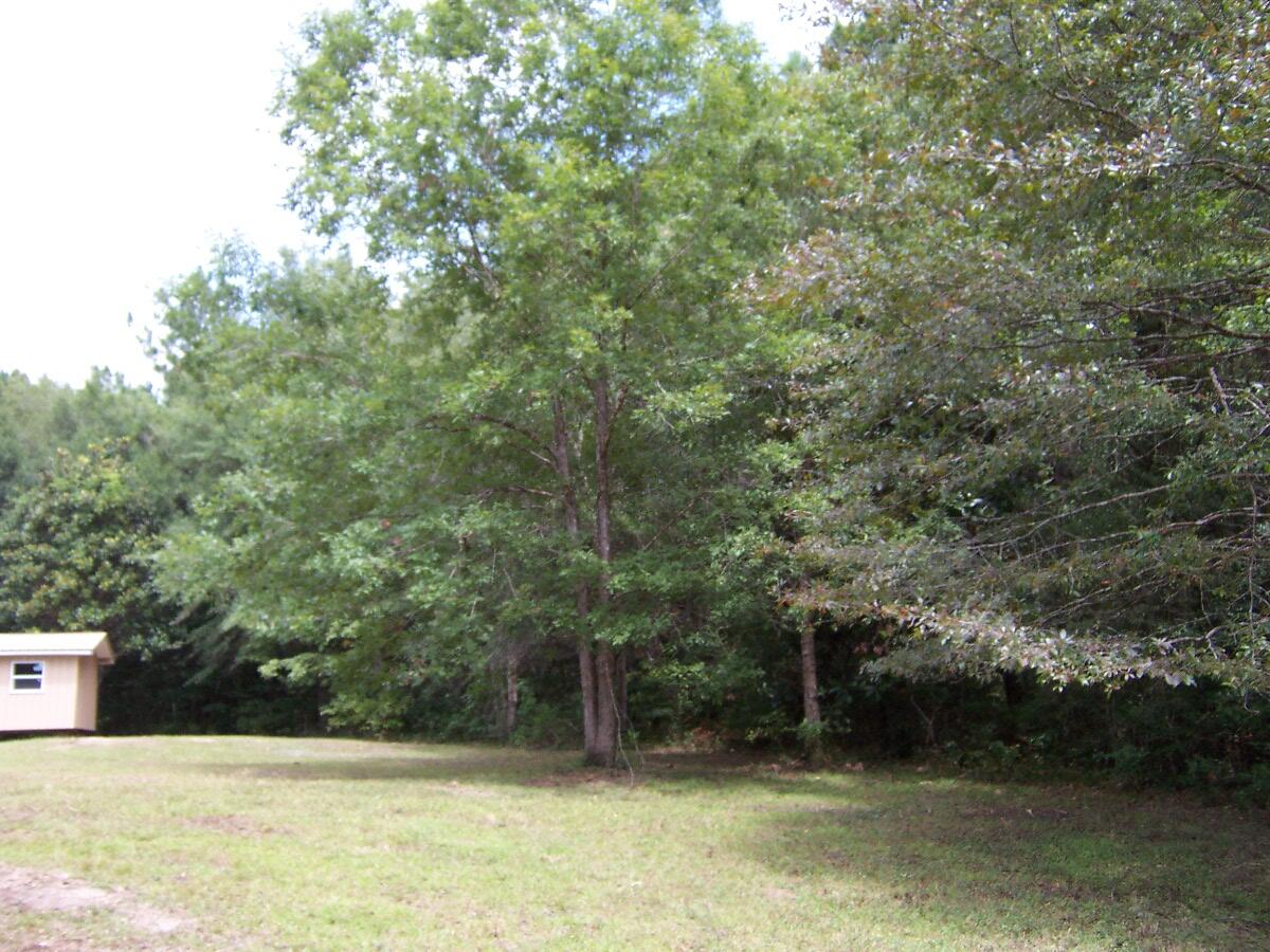 304 Batson Road Ponce de Leon, FL 32455 - Photo 38 of 41 100_7664