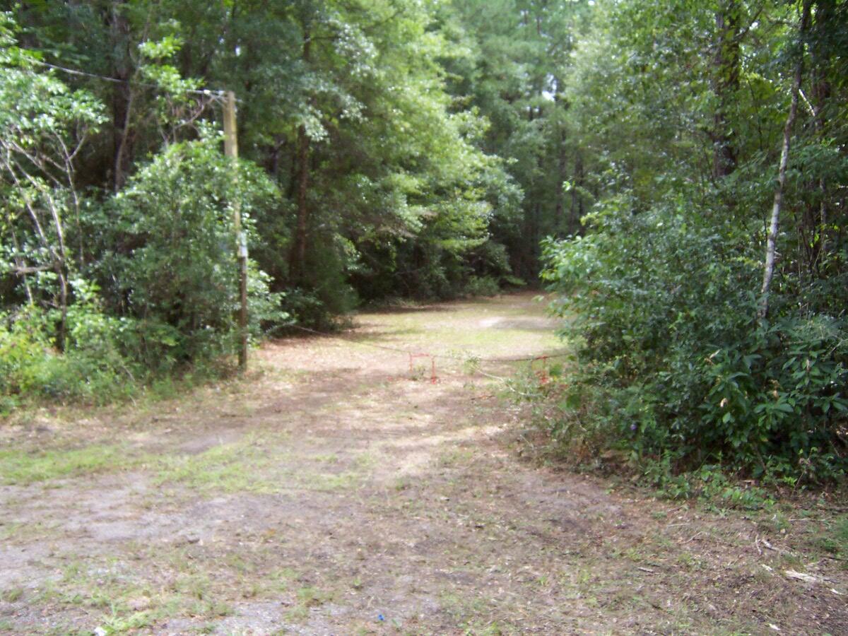 304 Batson Road Ponce de Leon, FL 32455 - Photo 5 of 41 100_7627