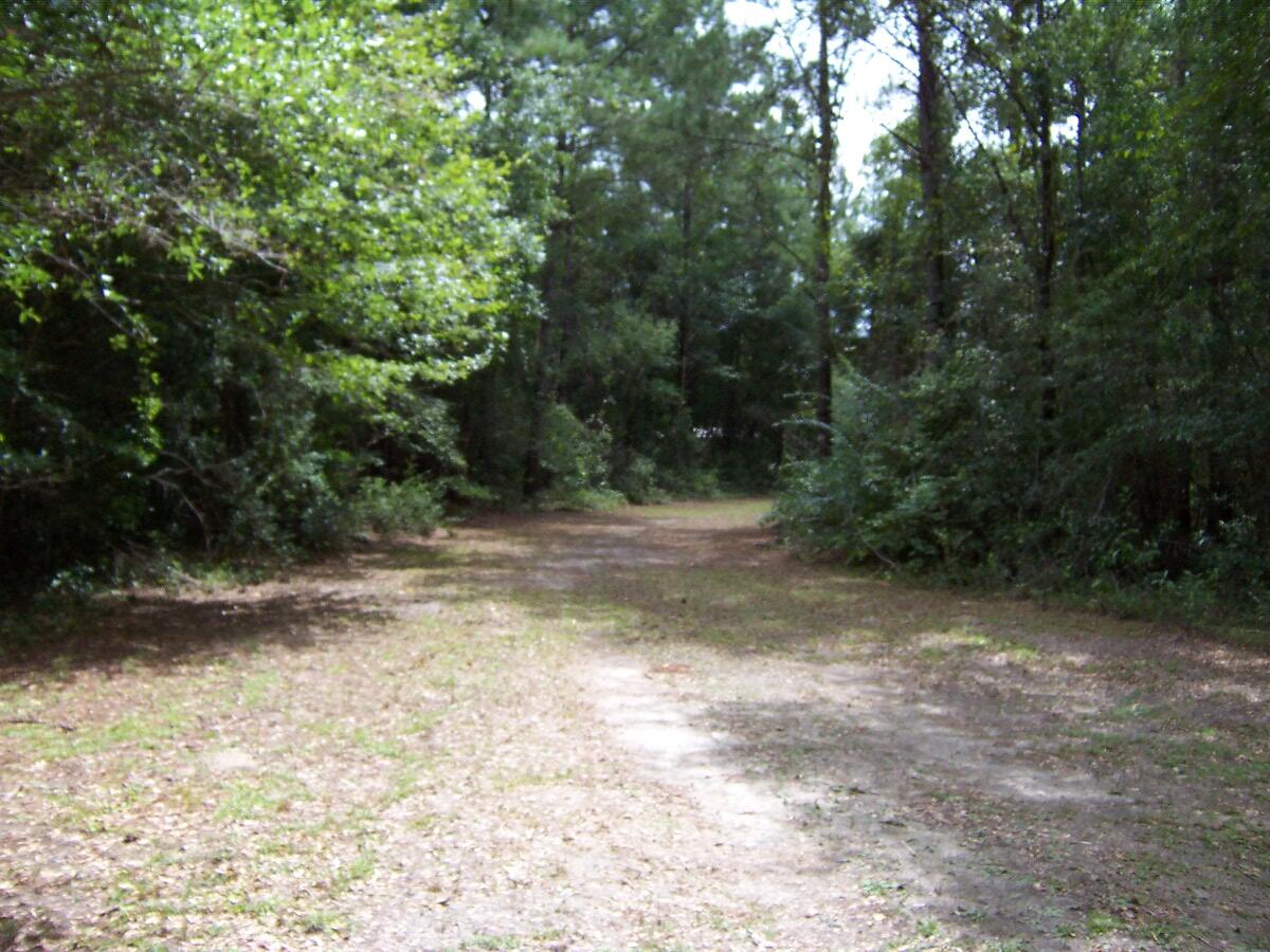 304 Batson Road Ponce de Leon, FL 32455 - Photo 7 of 41 100_7629