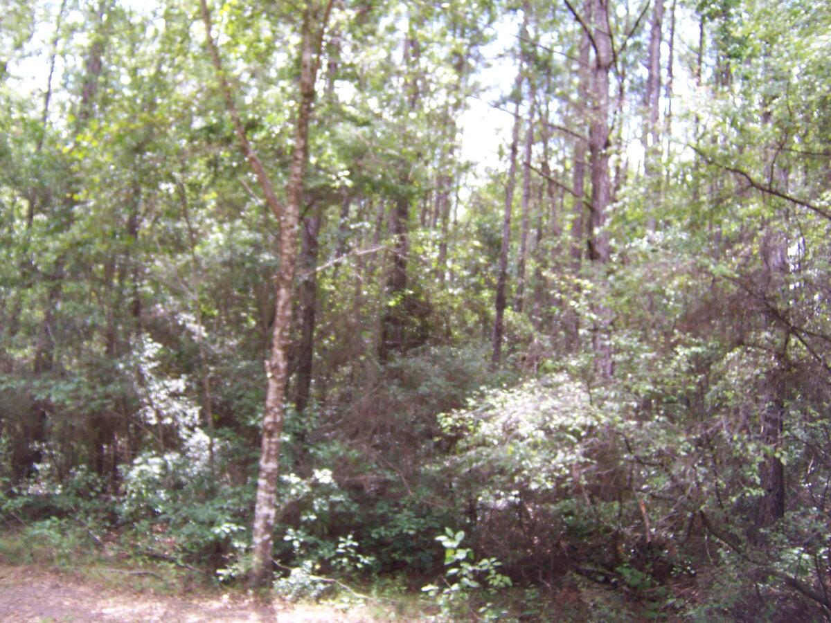 304 Batson Road Ponce de Leon, FL 32455 - Photo 8 of 41 100_7630