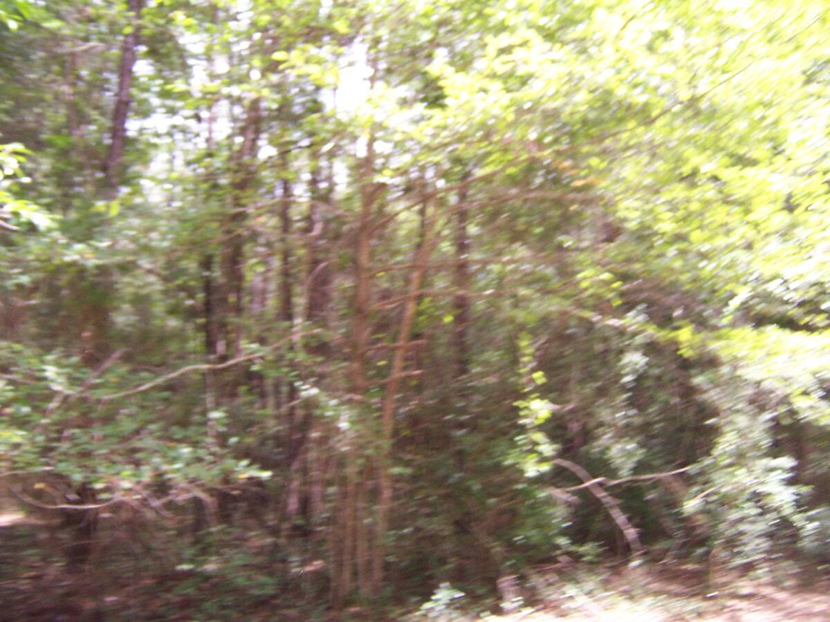 304 Batson Road Ponce de Leon, FL 32455 - Photo 9 of 41 100_7631