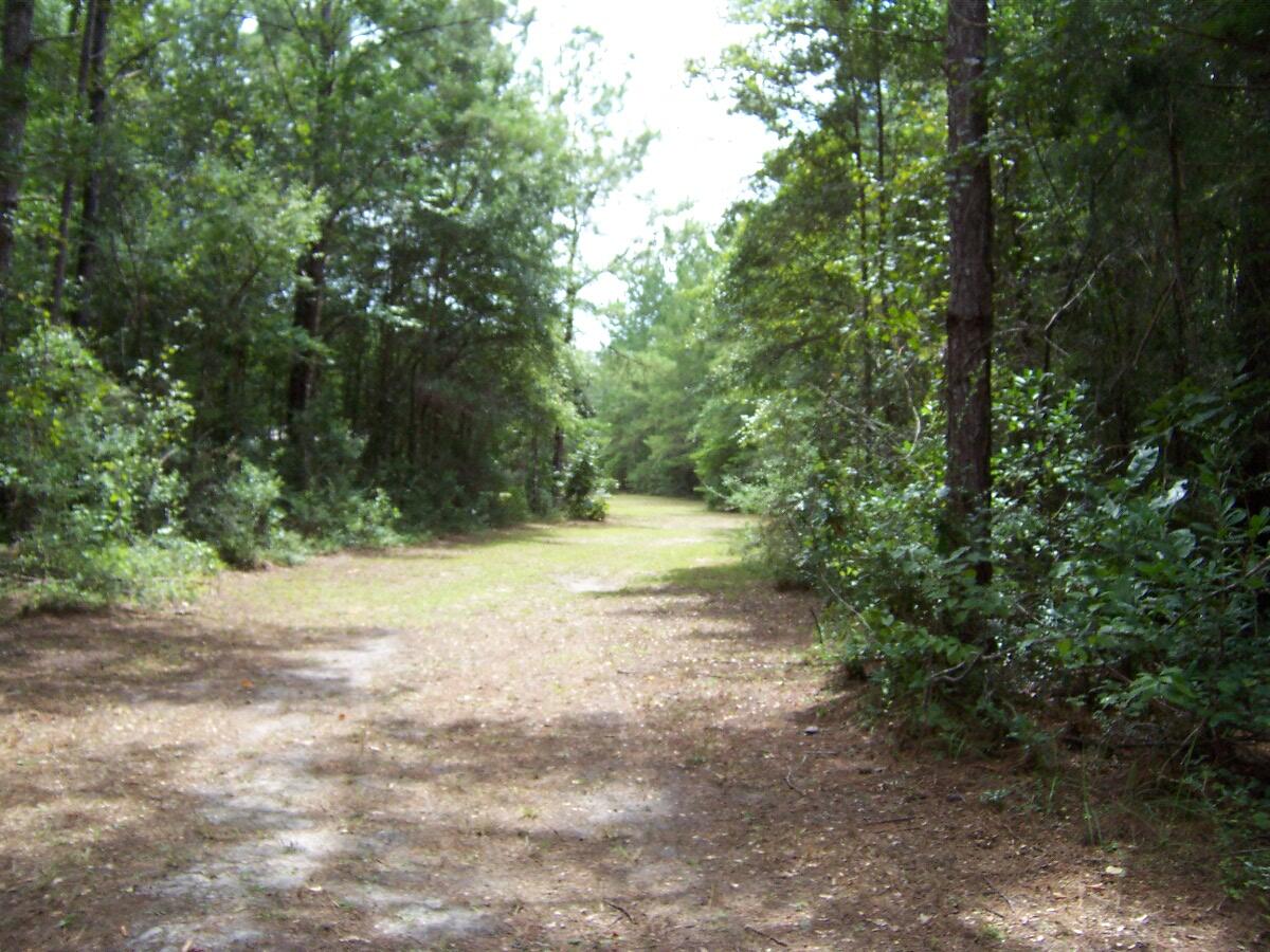 304 Batson Road Ponce de Leon, FL 32455 - Photo 10 of 41 100_7632