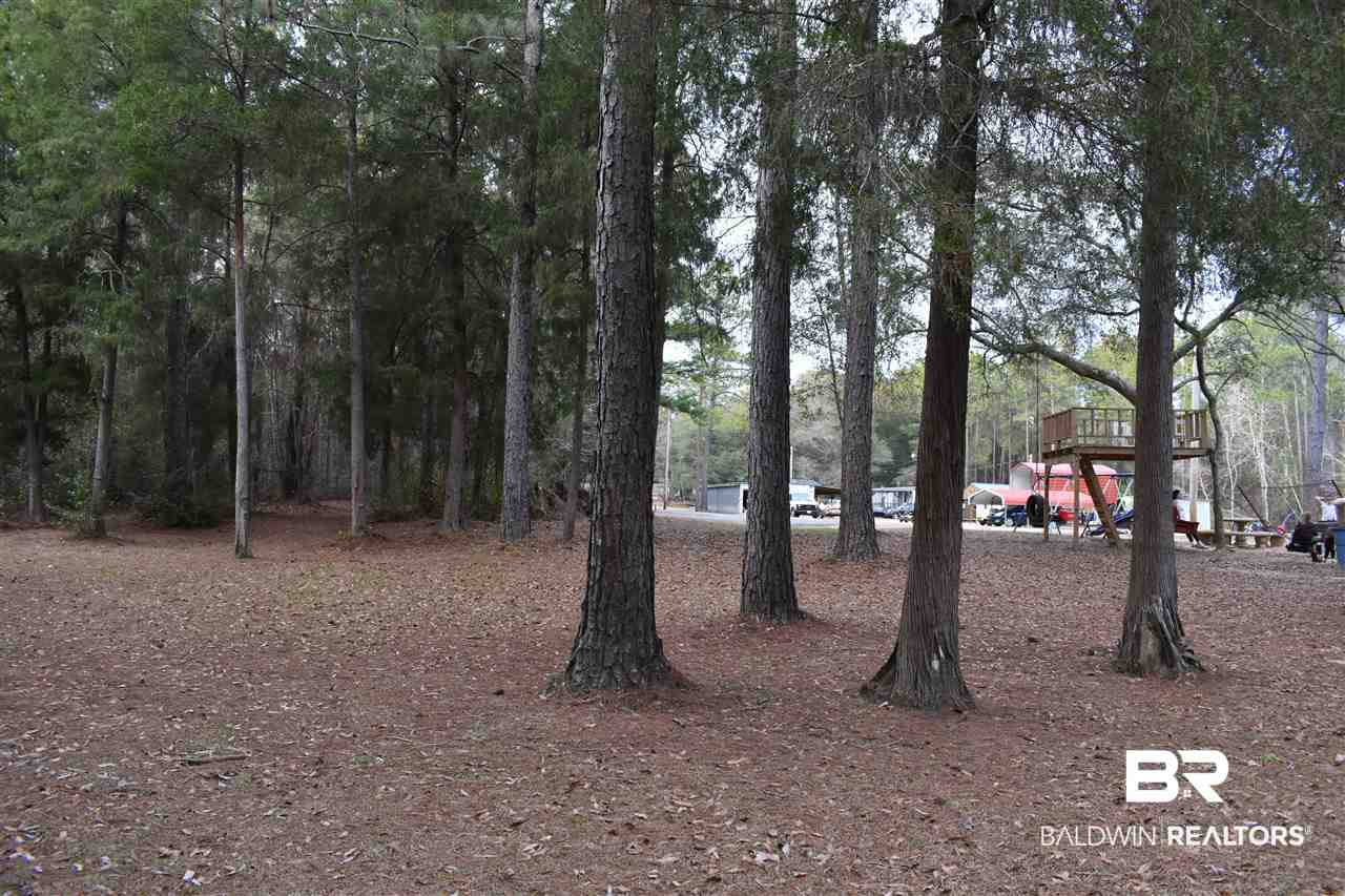 0 Danne Road Fairhope, AL 36532 - Photo 4 of 7