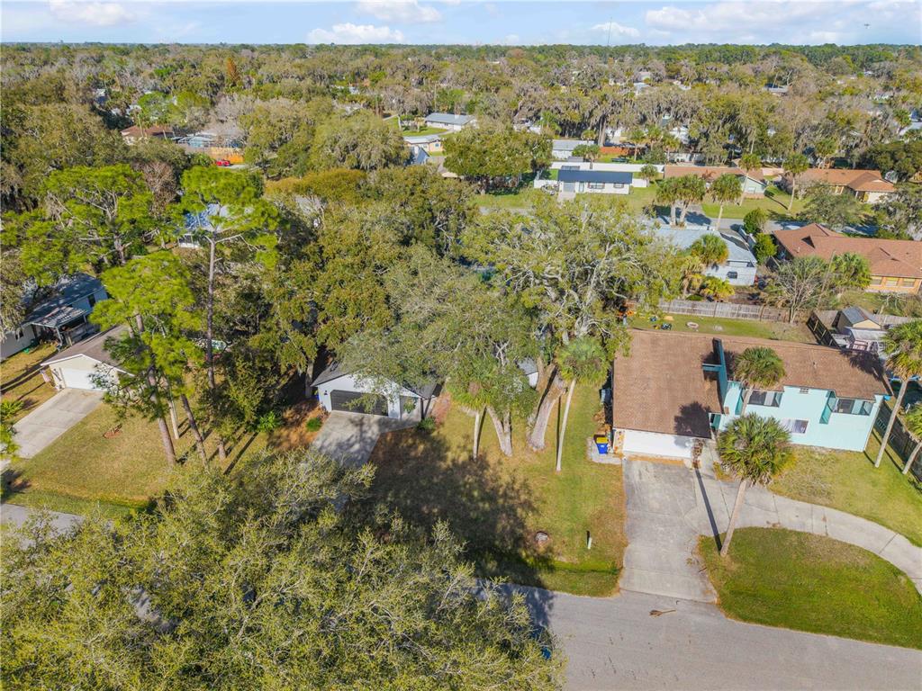 2711 Pine Tree Drive Edgewater, FL 32141 - Photo 40 of 50
