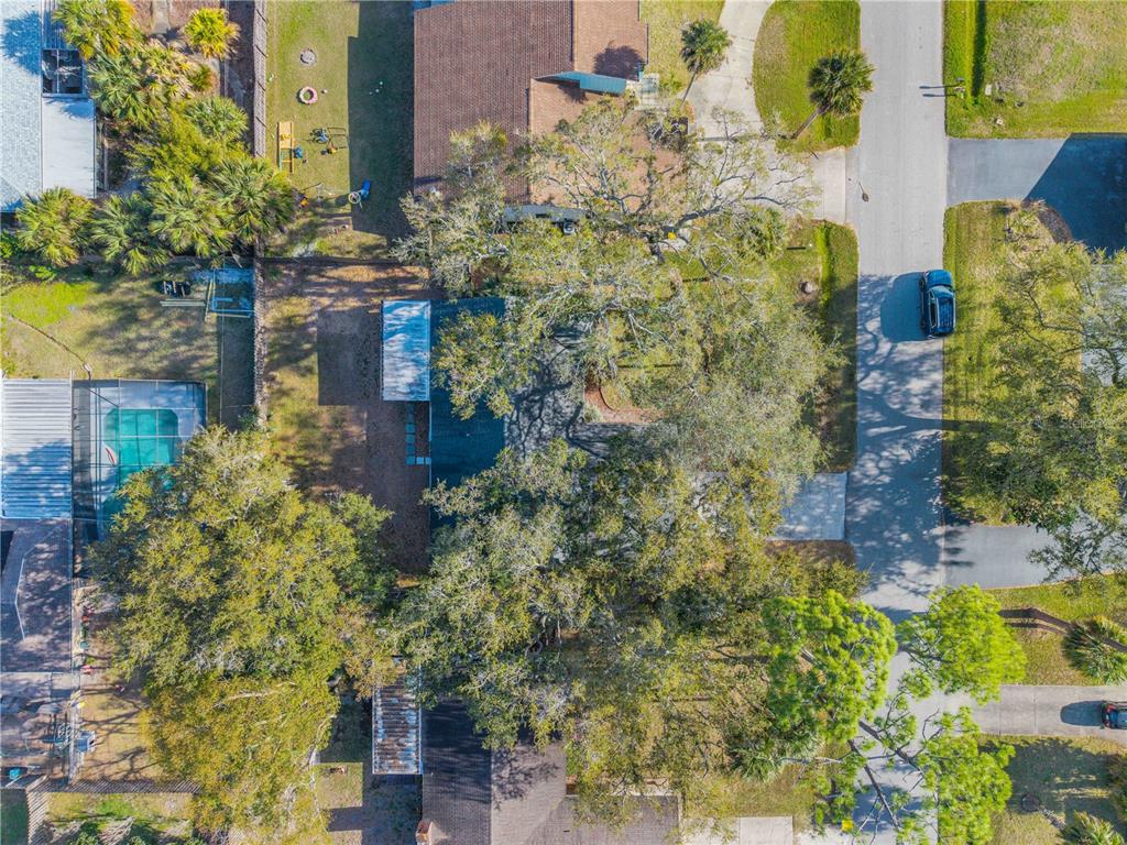 2711 Pine Tree Drive Edgewater, FL 32141 - Photo 42 of 50