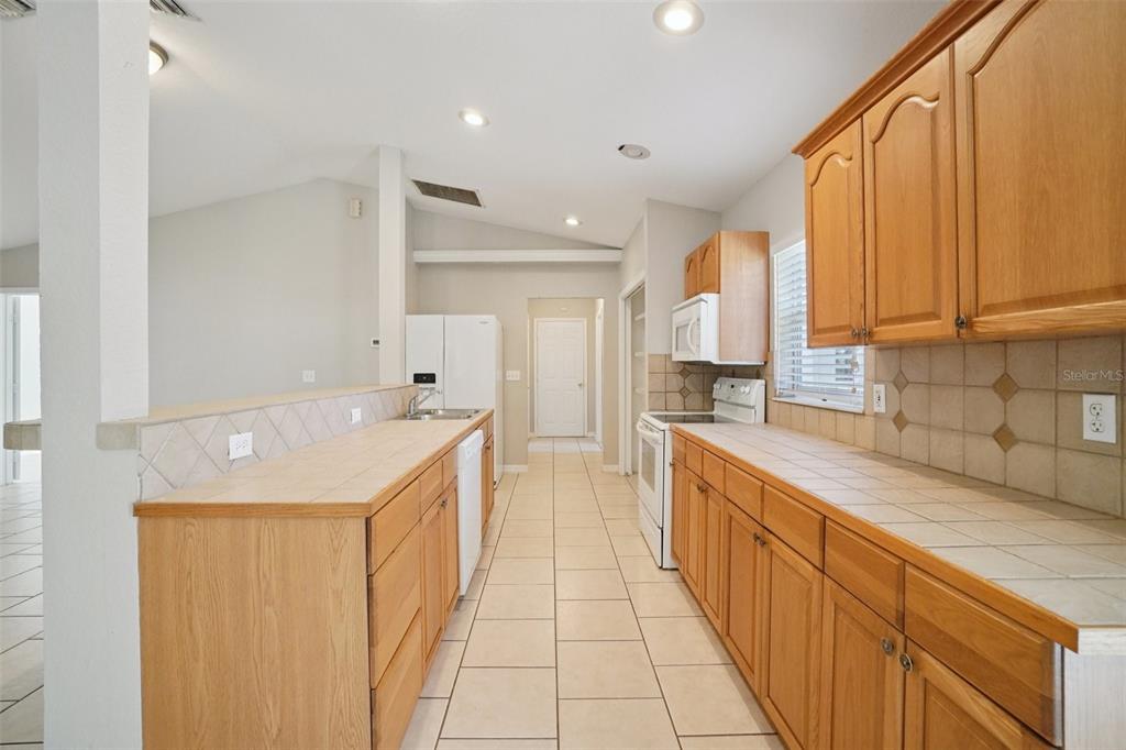 13210 Maple Street Odessa, FL 33556 - Photo 13 of 34 a large kitchen with a sink and cabinets