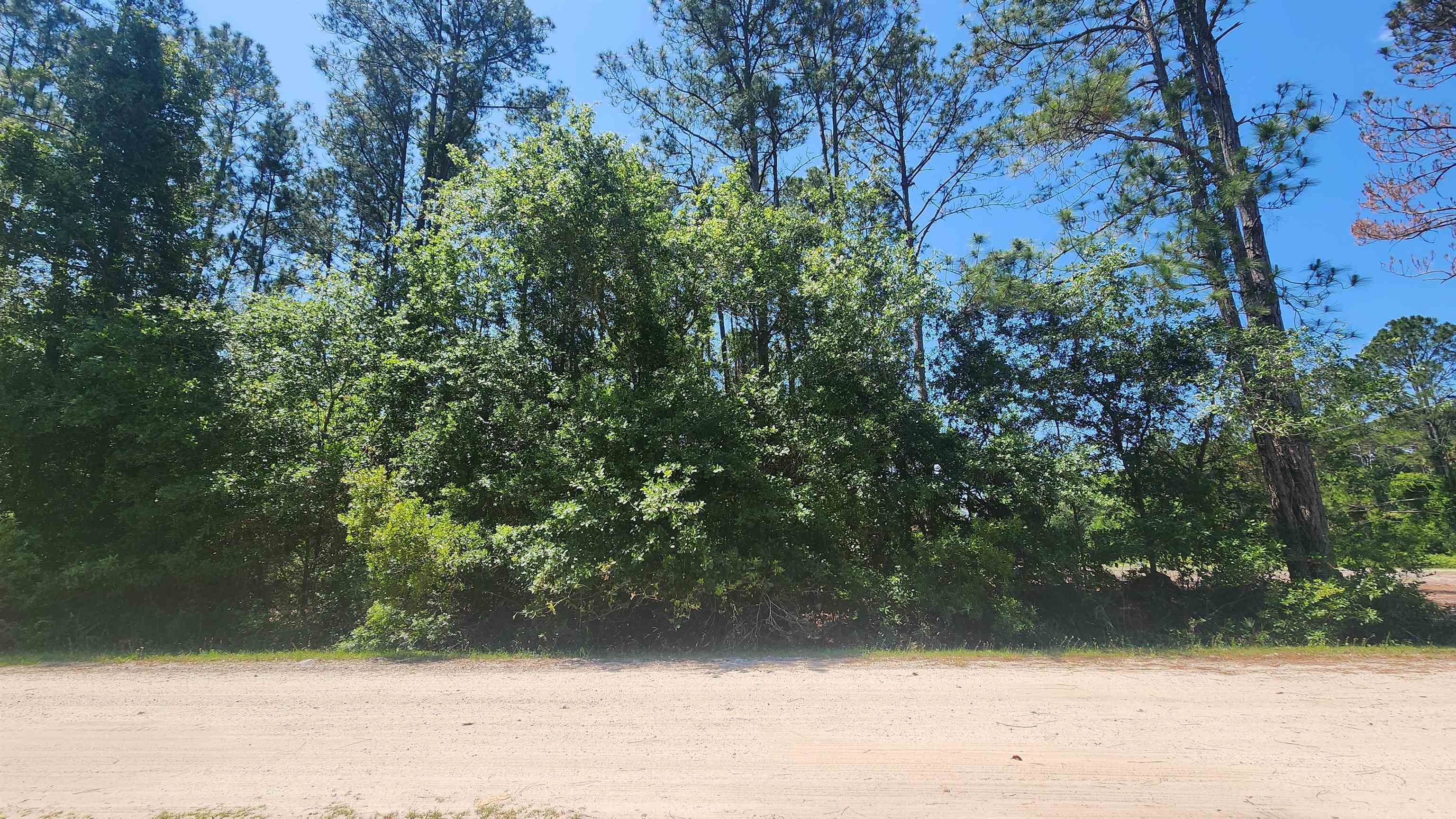 303 Palm Way Georgetown, FL 32139 - Photo 1 of 7 a view of backyard space