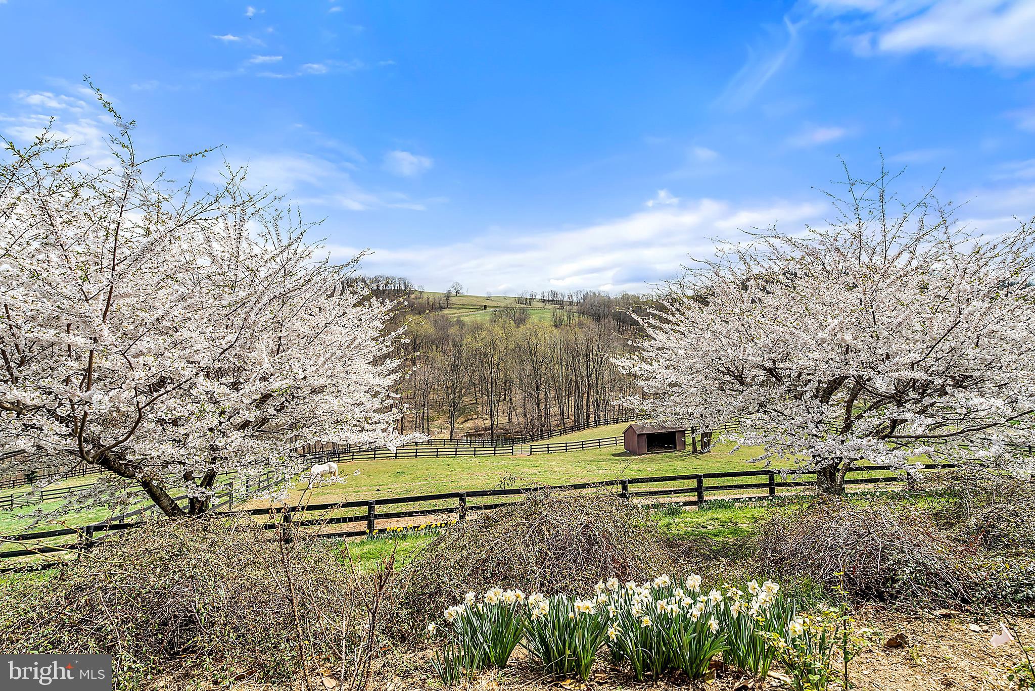 2283 Leeds Manor Road Markham, VA 22643 - Photo 35 of 45 Stunning Views