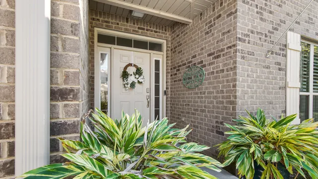 a plant is sitting in front of a door