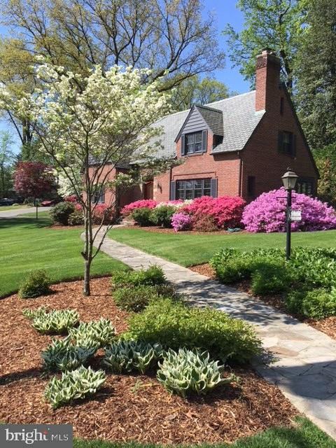 1200 Highland Drive Silver Spring, MD 20910 - Photo 38 of 39 Azaleas in bloom