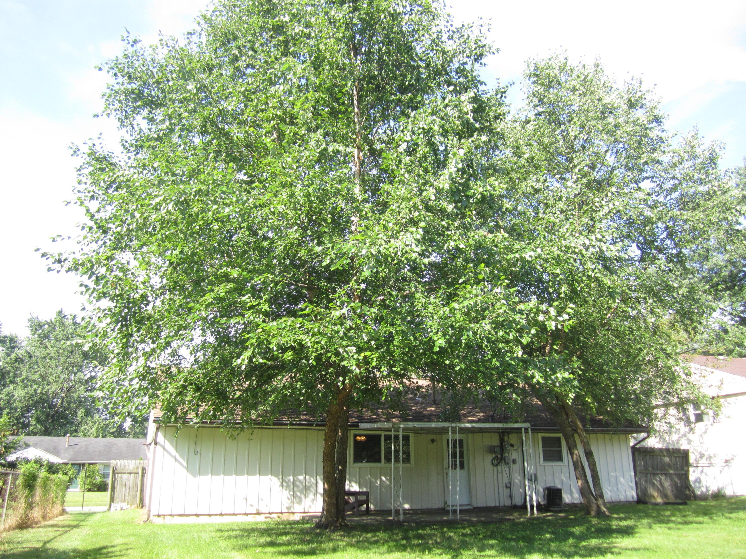 160 Regents Road Columbus, OH 43230 - Photo 26 of 31 Gallery Image 26