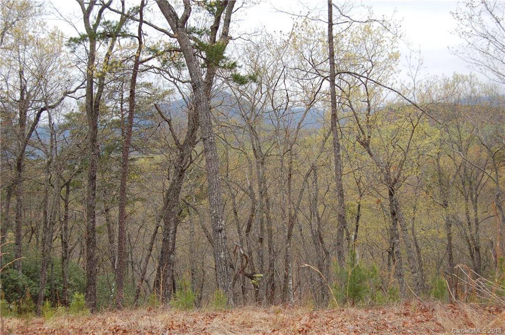 99999 Amy Ridge Road, Unit 232 Lake Lure, NC 28746 - Photo 1 of 5 Gallery Image 1