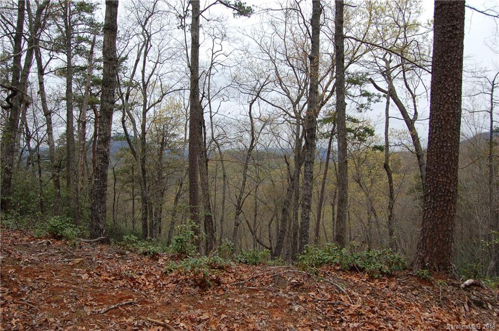 99999 Amy Ridge Road, Unit 232 Lake Lure, NC 28746 - Photo 3 of 5 Gallery Image 3