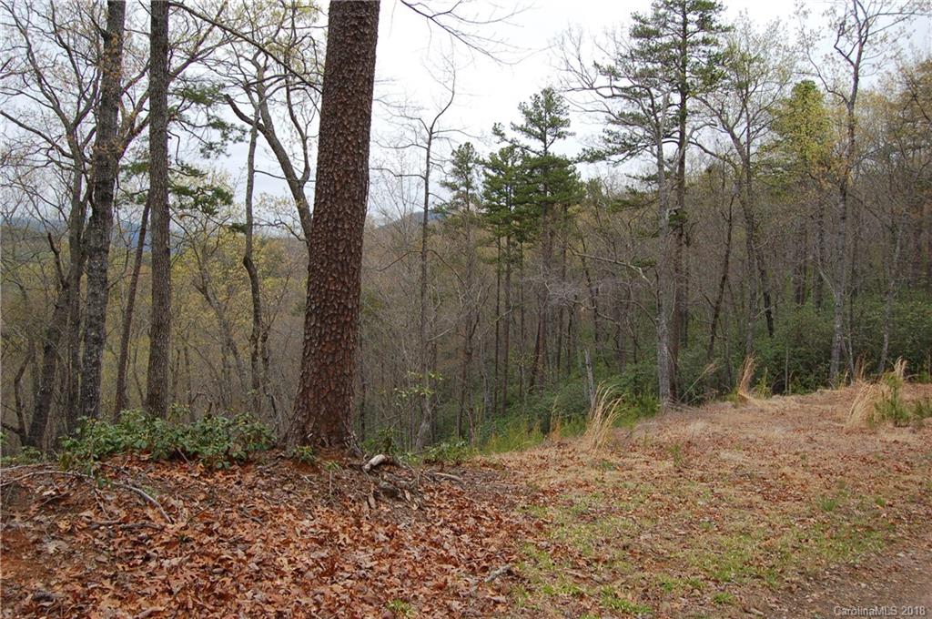 99999 Amy Ridge Road, Unit 232 Lake Lure, NC 28746 - Photo 4 of 5 Gallery Image 4