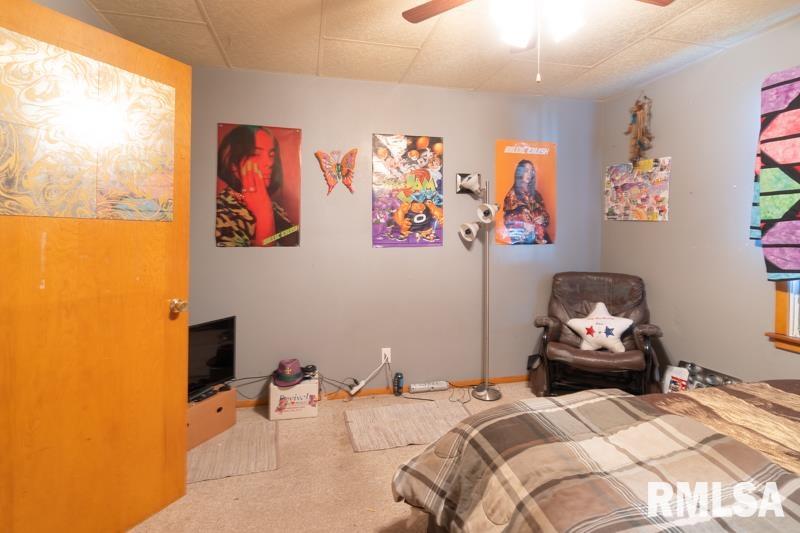310 Center Street Dunfermline, IL 61524 - Photo 8 of 15