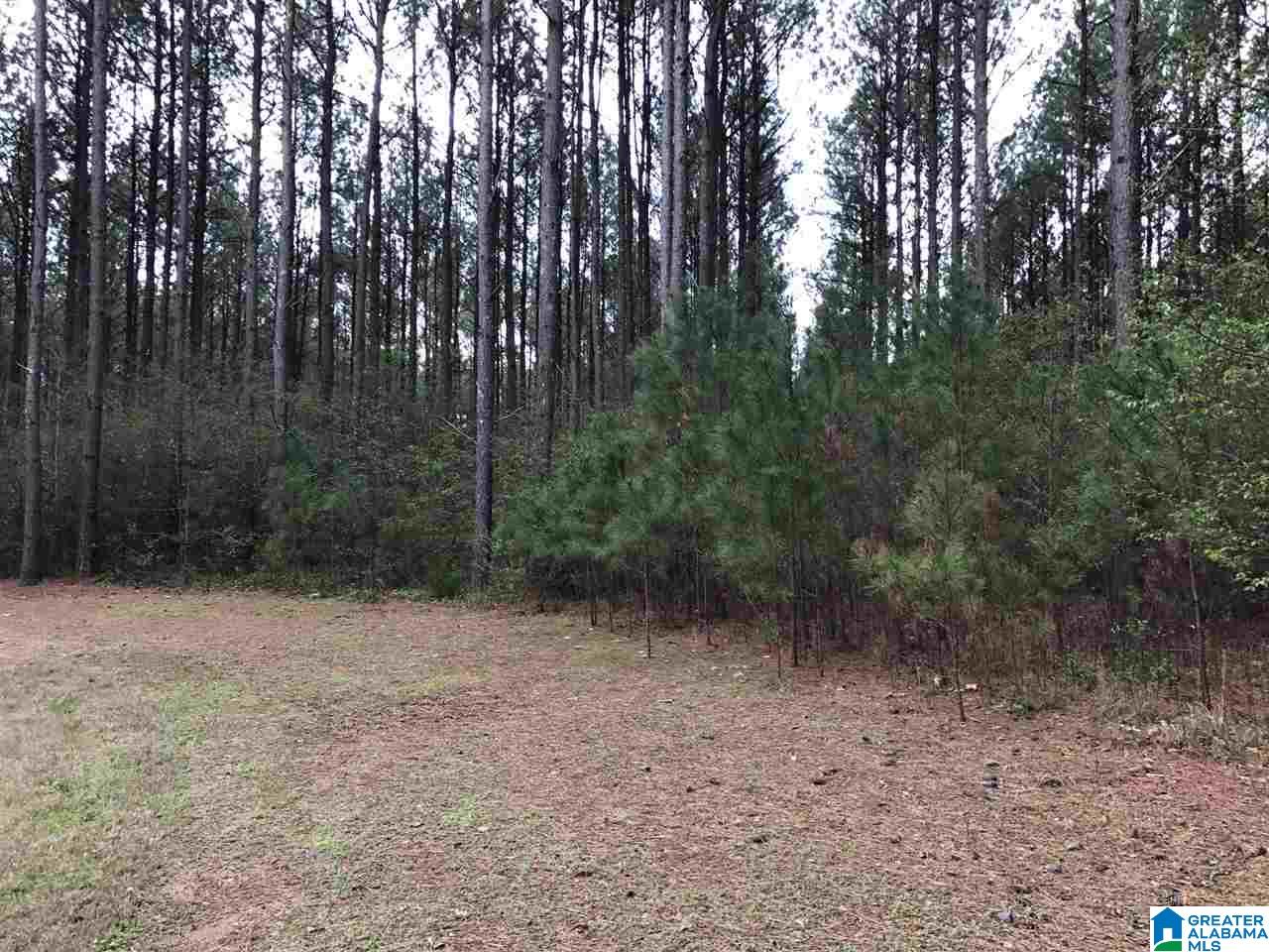 78 Pilgrims Path, Unit 19 Anniston, AL 36207 - Photo 10 of 35
