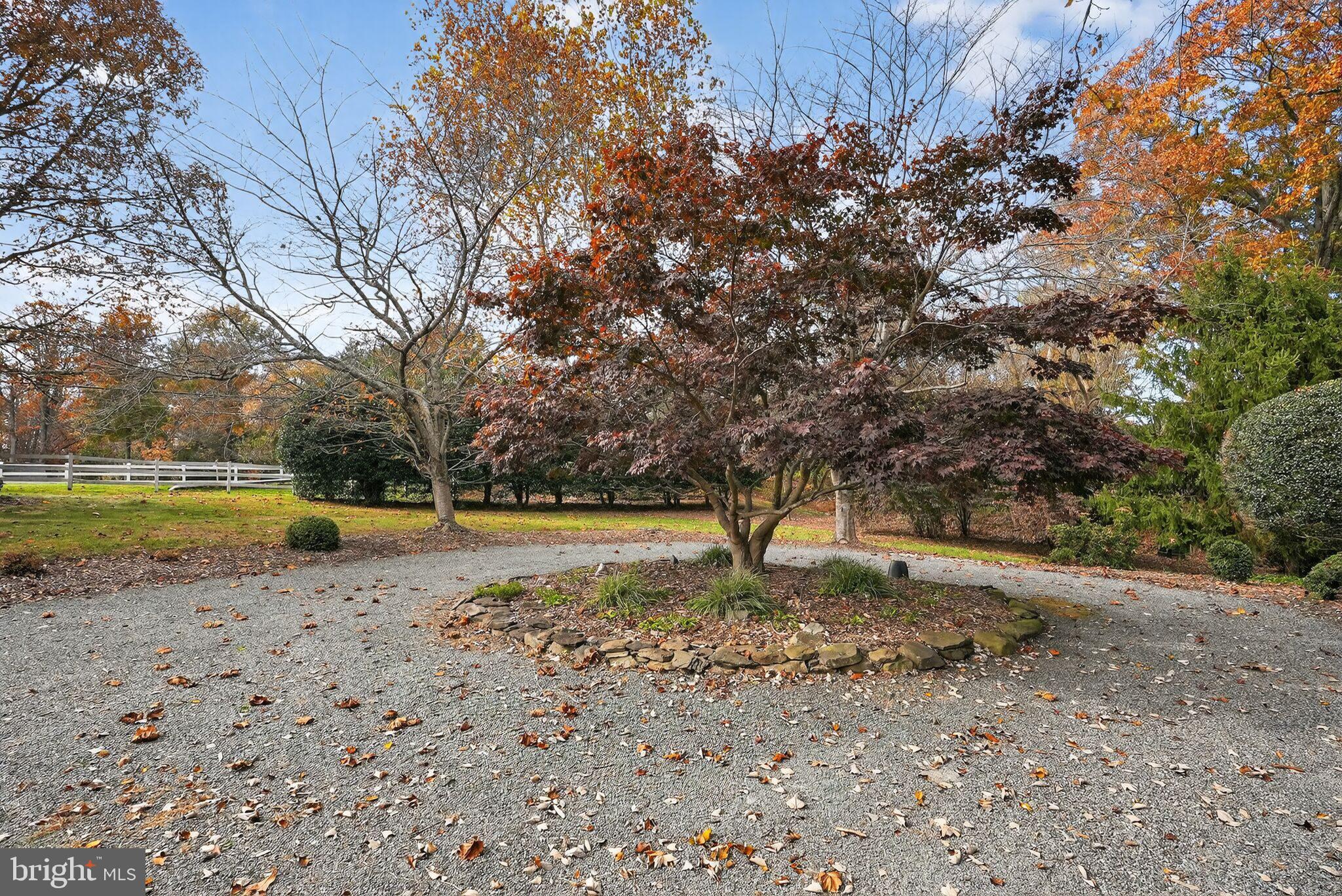 13821 Esworthy Road Darnestown, MD 20874 - Photo 65 of 98 a view of a fire pit with large trees