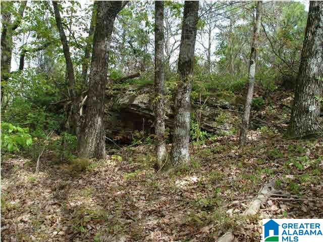 3960 South Shades Crest Road, Unit 1 Birmingham, AL 35244 - Photo 8 of 11 Gallery Image 8
