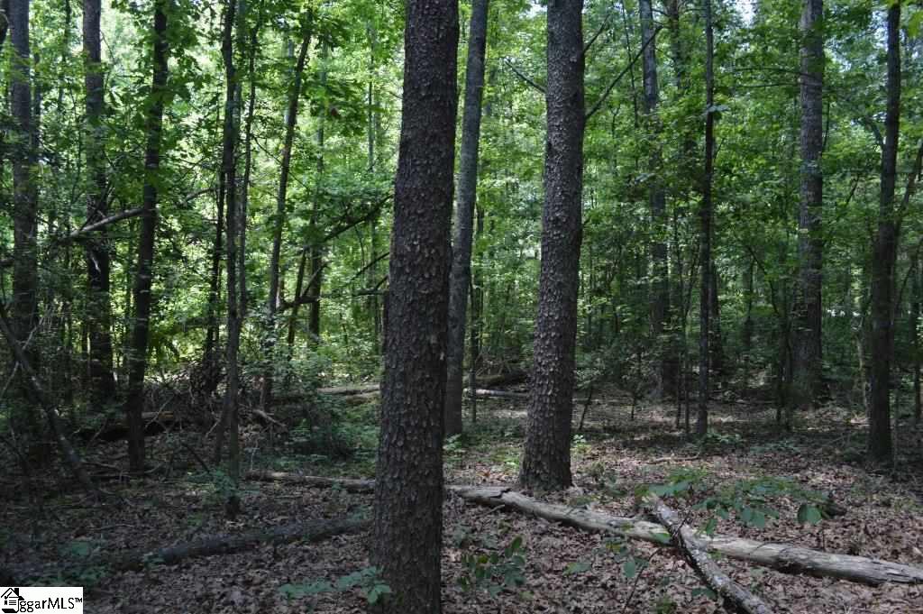 0 Robertson Road Travelers Rest, SC 29690 - Photo 17 of 24