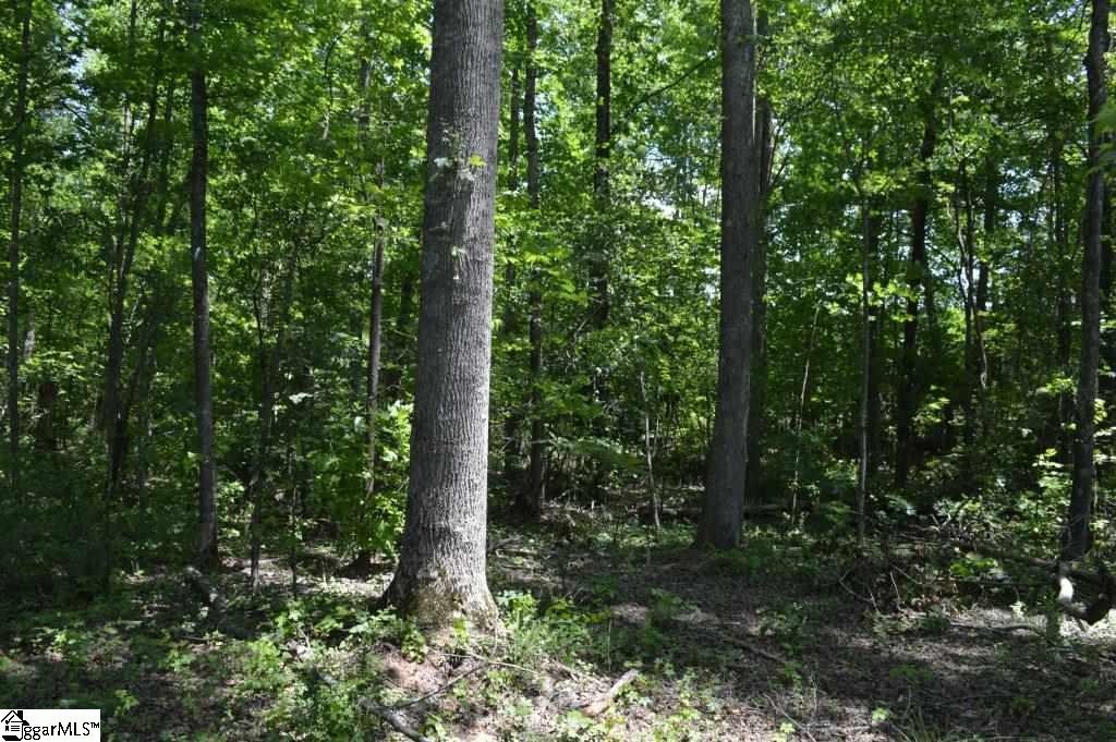 0 Robertson Road Travelers Rest, SC 29690 - Photo 5 of 24