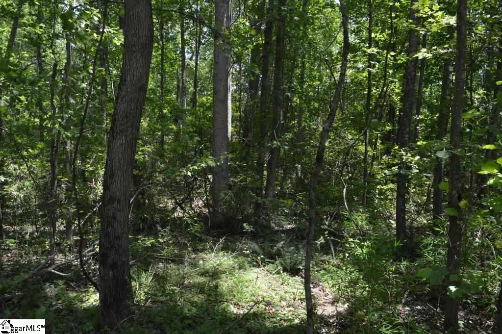 0 Robertson Road Travelers Rest, SC 29690 - Photo 7 of 24