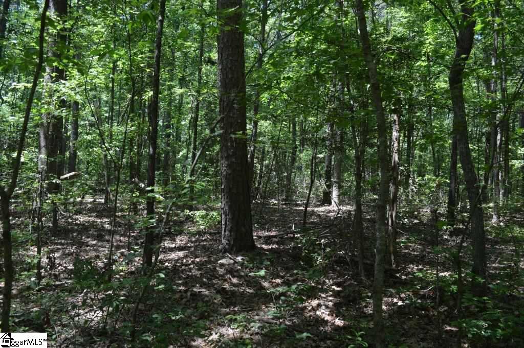 0 Robertson Road Travelers Rest, SC 29690 - Photo 9 of 24