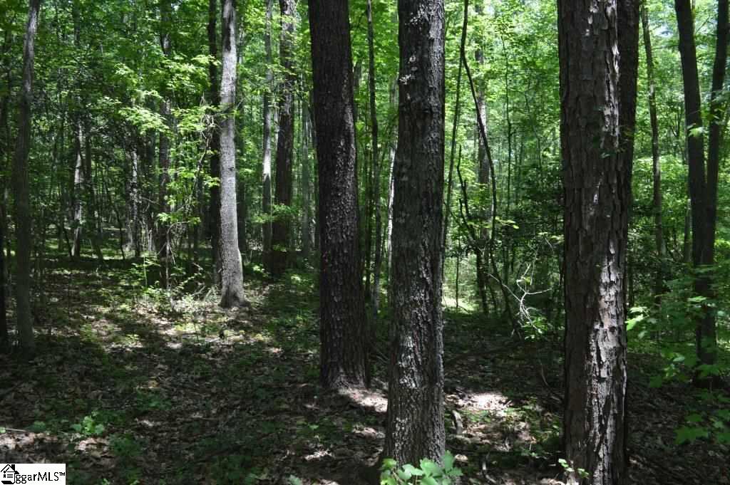 0 Robertson Road Travelers Rest, SC 29690 - Photo 10 of 24