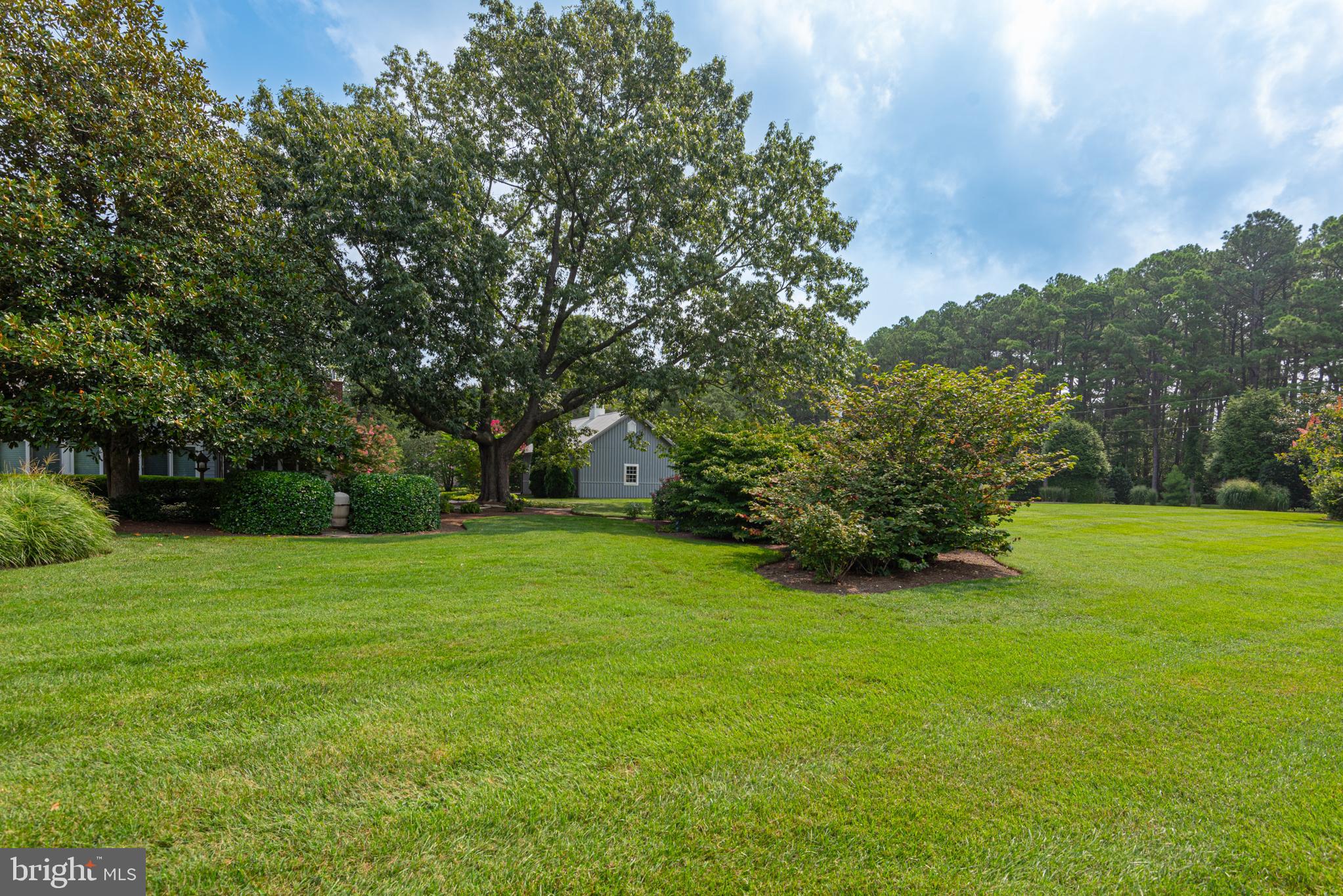4500 Boone Creek Road Oxford, MD 21654 - Photo 120 of 133 Backyard views