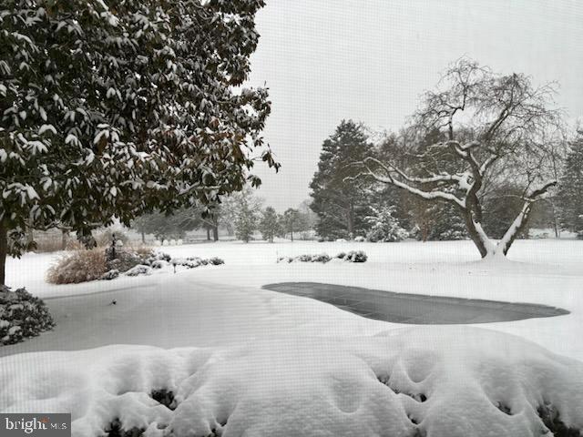 4500 Boone Creek Road Oxford, MD 21654 - Photo 131 of 133 Winter views