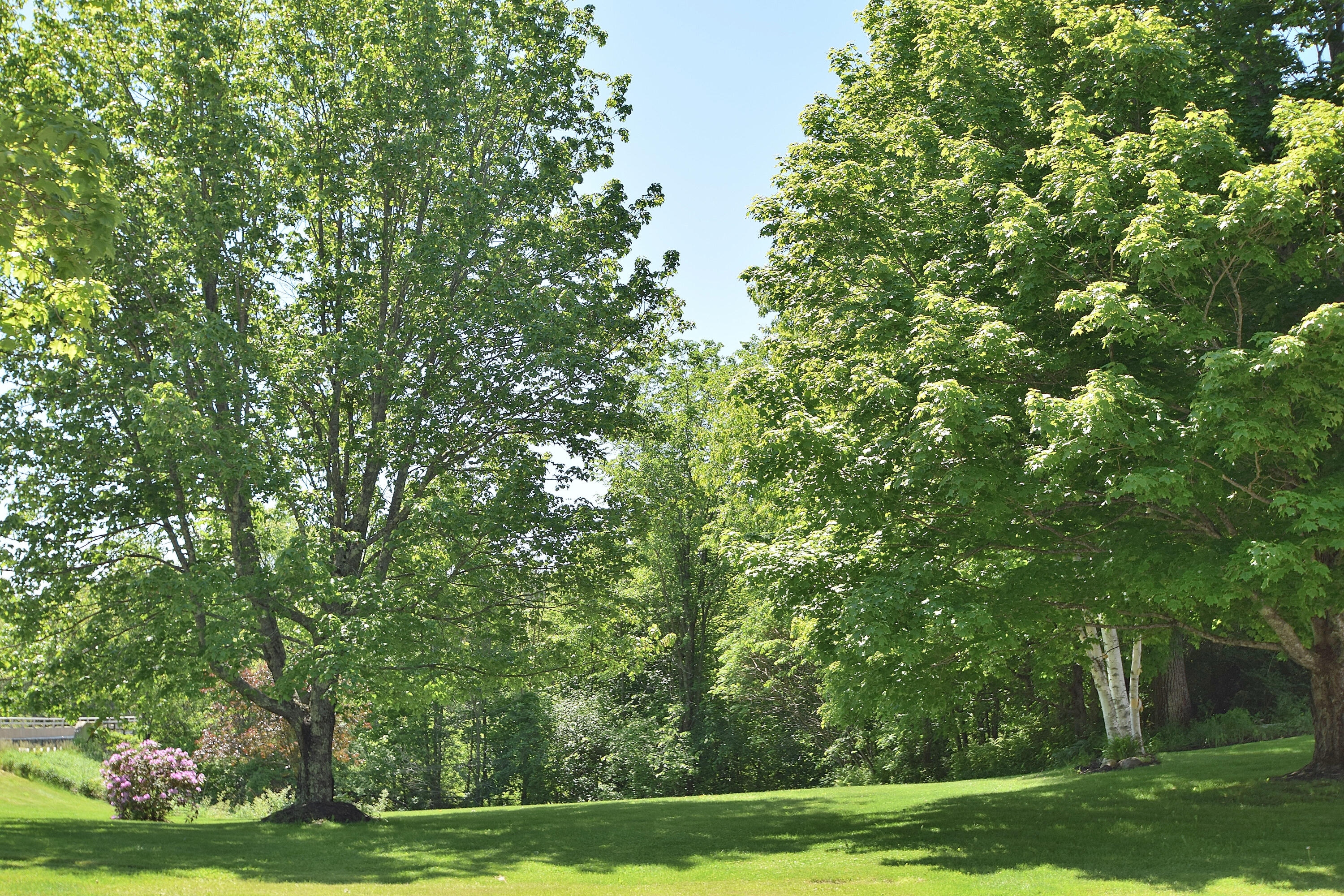457 Lisbon Road Sabattus, ME 04280 - Photo 56 of 105 DSC_0010