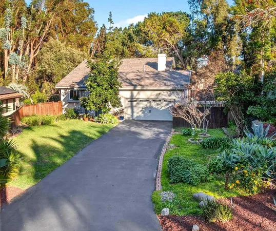 a view of a yard with plants and large trees
