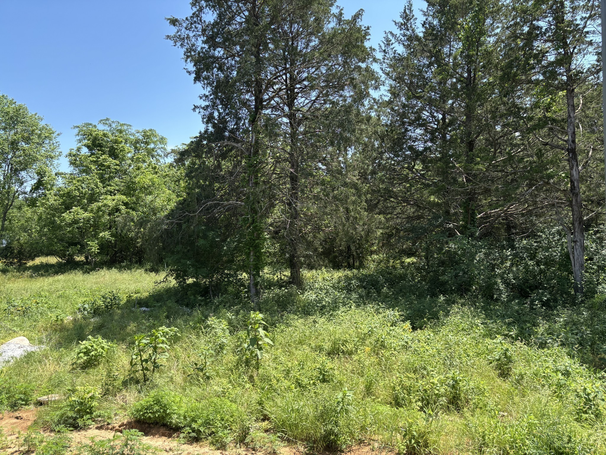 4380 McCrary Road Lebanon, TN 37090 - Photo 24 of 24