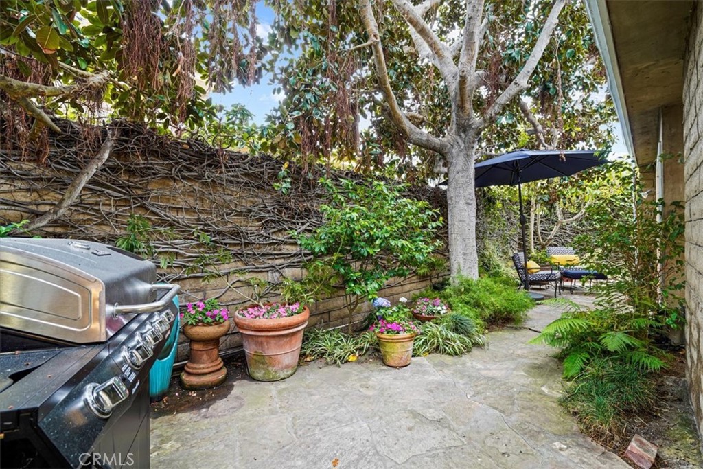 23802 Cassandra Bay Dana Point, CA 92629 - Photo 24 of 56 a view of a backyard with sitting area and garden