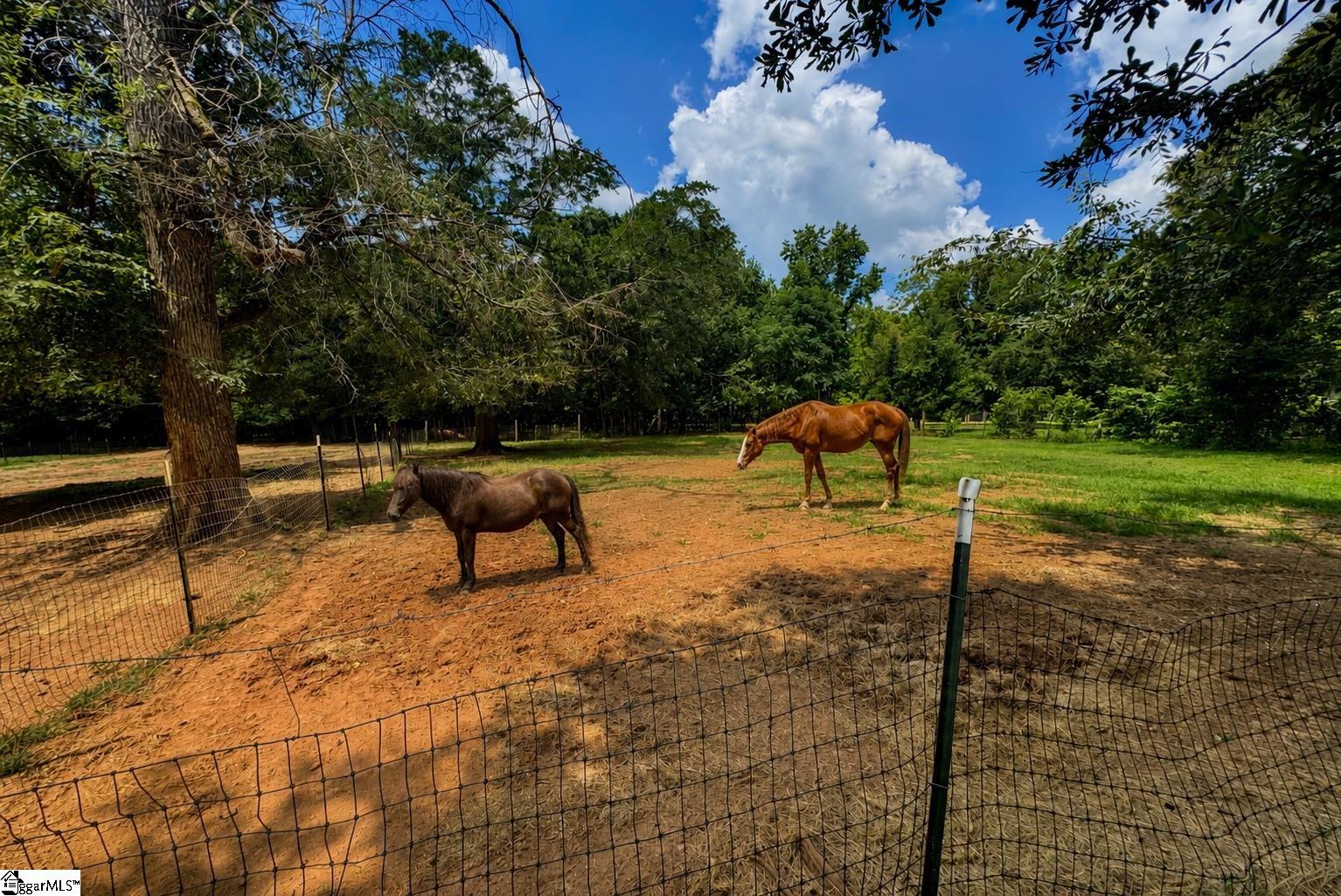 1218 Broadway Lake Road Anderson, SC 29621 - Photo 13 of 45