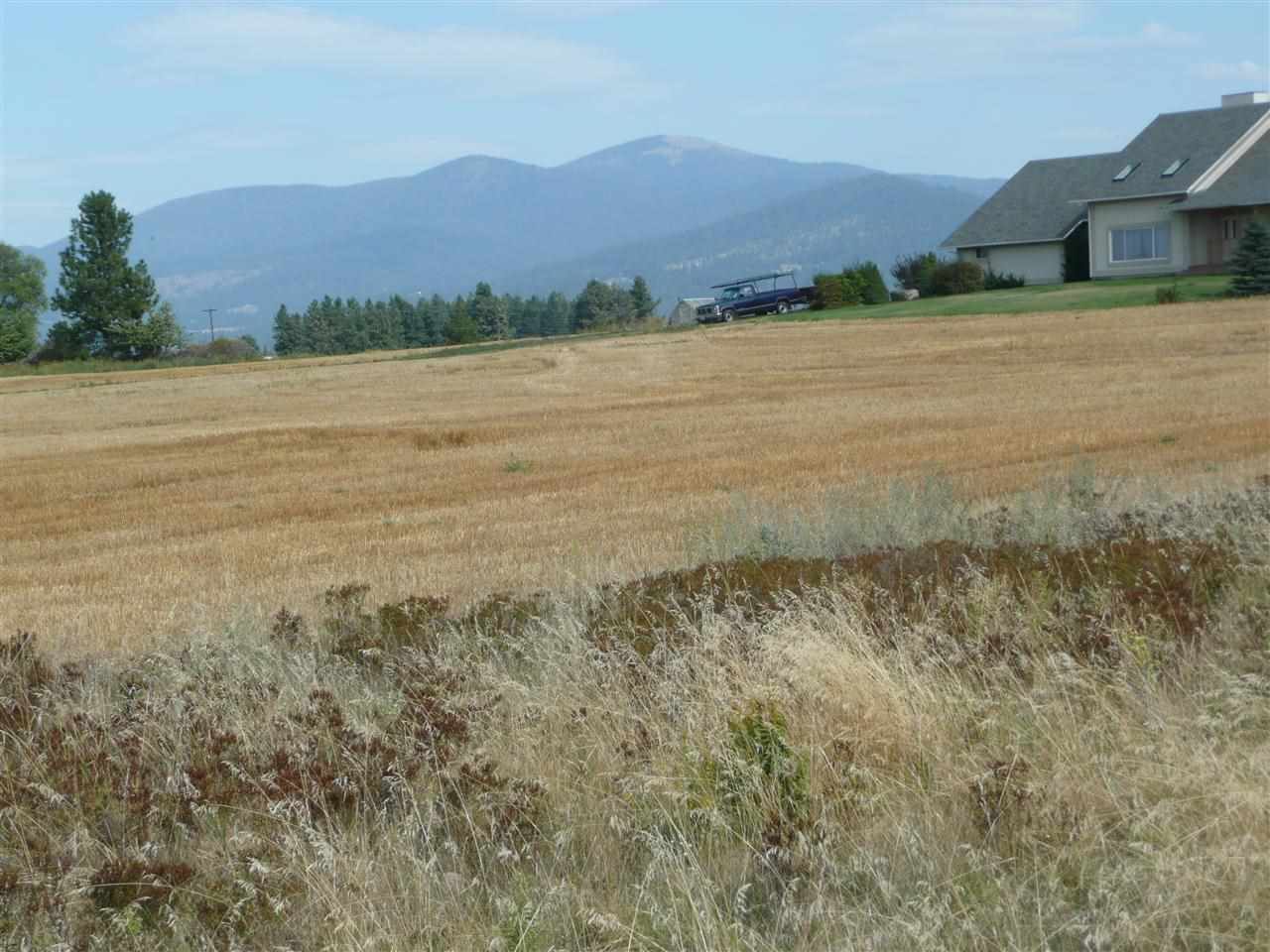 17927 North Greenbluff Road Colbert, WA 99005 - Photo 14 of 18